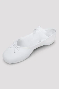Mens Perfectus Canvas Ballet Shoes -Dance Dream Shop S79C5LCZ